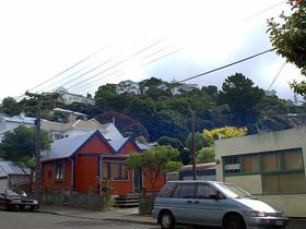 wellington-020.jpg