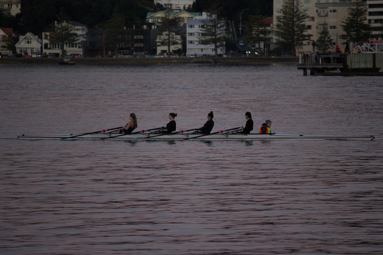 Rowers on the Harbour