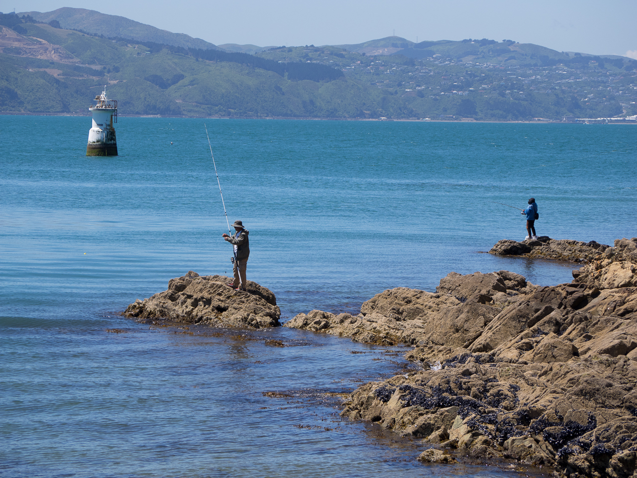 Fishing from the rocks in Oriental Bay